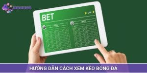 Cách xem kèo bóng đá