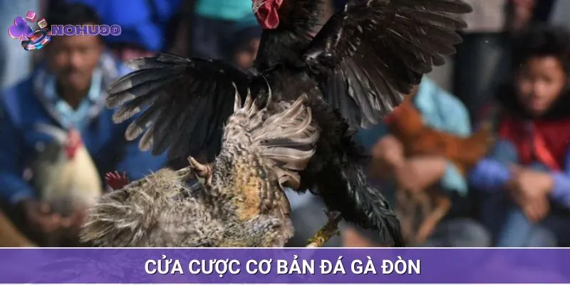 Cửa cược đá gà đòn phổ biến tại nhà cái trực tuyến