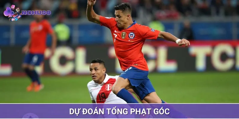 Dự đoán số quả phạt góc của toàn trận