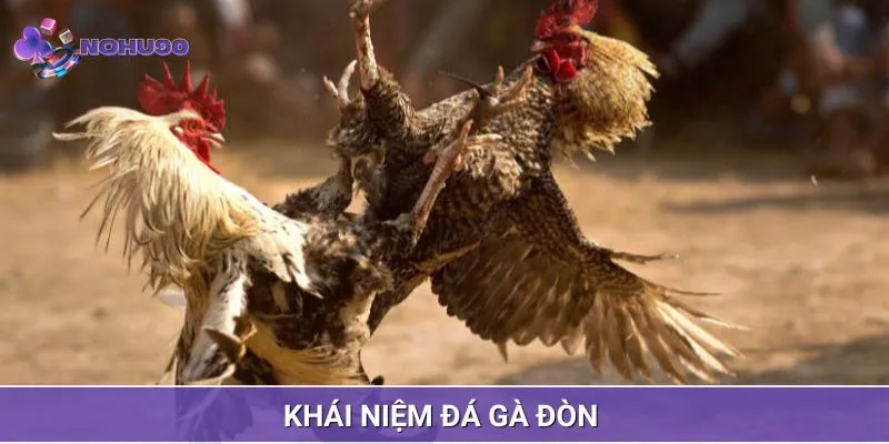 Đá gà đòn và khái niệm giúp ta hiểu hơn