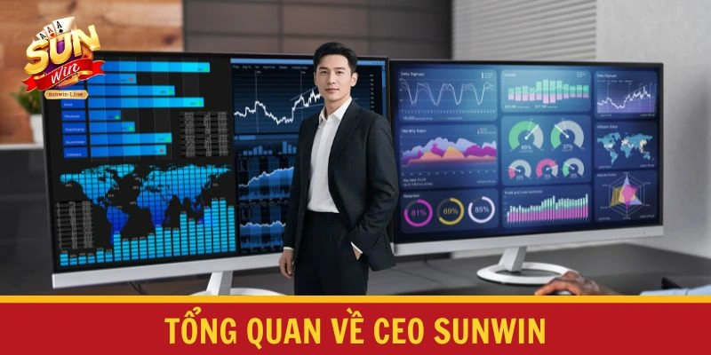 Tổng quan về CEO SUNWIN